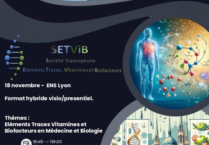 Journée scientifique SETVIB